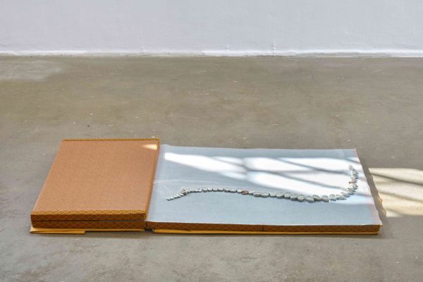 Lotus L. Kang, Receiver Transmitter (Intervertebral), 2023